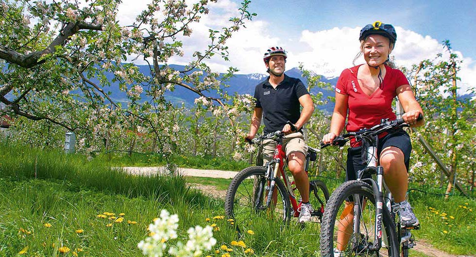 Biken in Algund und Umgebung